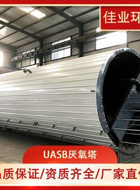 反硝化塔IC厌氧塔厌氧罐芬顿氧化反应器生化厌氧塔UASB厌氧反应器