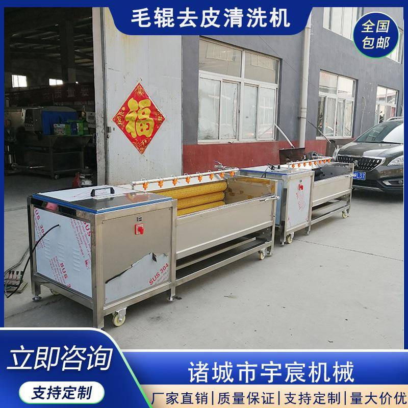 中药材清洗去皮机红薯土豆芋头毛辊去皮清洗机根茎类磨皮脱皮设备