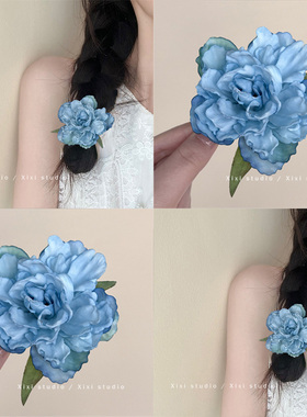 白茶清欢！蓝色花朵发夹！高级感头花侧边夹海边配饰寿司帘发饰女