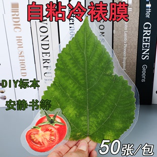 自粘冷裱膜照片A4塑封膜相片保护膜手工diy安静书树叶标本膜6寸手工标本树叶贴膜DIY高透粘性强