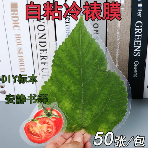 A4A5A6冷裱膜自粘DIY标本制作