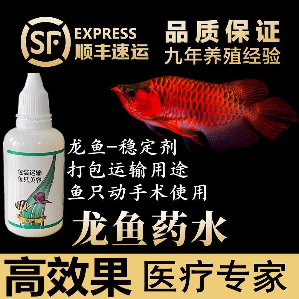 龙鱼手术安定剂龙鱼稳定剂安定剂龙鱼掉眼药镇定剂专用药水族鱼药