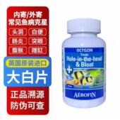 正品 英国大白片水族箱鱼缸龙鱼罗汉观赏鱼肠炎内寄头洞凸眼外寄等