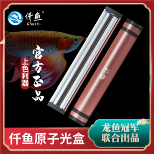 仟鱼原子光盒灯盘龙鱼灯专用T5发色灯管鱼缸灯侧灯全光谱烤色夜灯