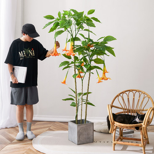 北欧大型彷真绿色植物盆栽彷生植物曼陀罗室内客厅装饰假花落地摆