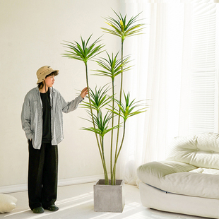 仿真植物龙血树落地盆栽仿生绿植摆件客厅沙发边家居装 饰盆景假树