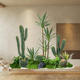 彷真绿色植物造景景观室内热带植物高级彷生仙人掌大型落地摆件装