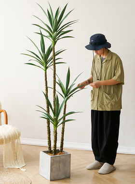 北欧仿真剑麻铁树植物大型盆栽装饰假绿植室内办公室商场落地摆件