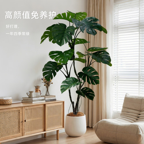 高端轻奢仿真龟背竹老桩盆栽