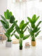 假绿植装 饰彷真室内盆栽大型落地摆件客厅轻奢彷真绿色植物旅人蕉