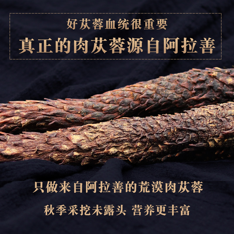阿拉善肉苁蓉整根切片正品内蒙古油性肉苁蓉沙漠人参泡茶泡酒