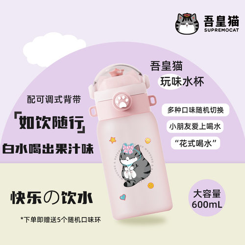 吾皇猫磨砂手感高颜值吸管杯