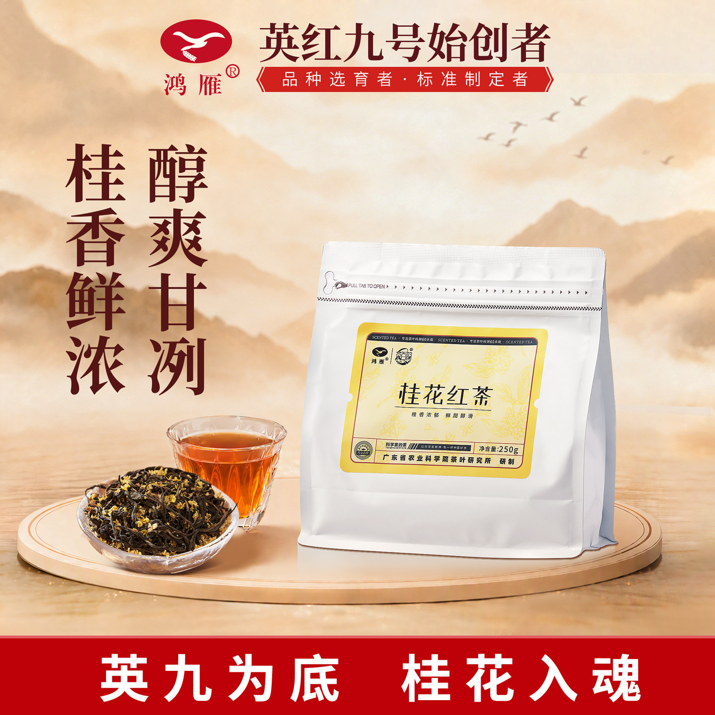 农科院鸿雁桂花英红九号红茶图片