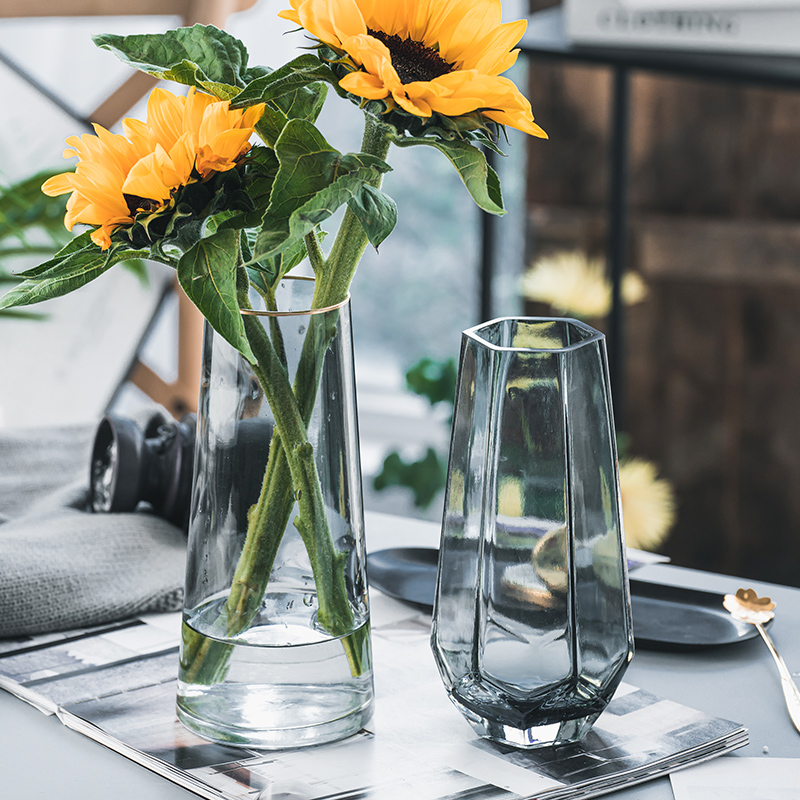 【两件套】北欧ins 风轻奢创意玻璃花瓶水养干鲜花网红插花瓶摆件