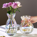 简约ins风花瓶北欧轻奢创意玻璃透明水培养鲜花插花客厅餐桌摆件