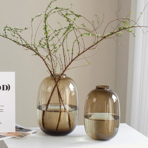 花瓶玻璃透明水养插花大号轻奢高级感客厅雪柳专用家居装饰品摆件