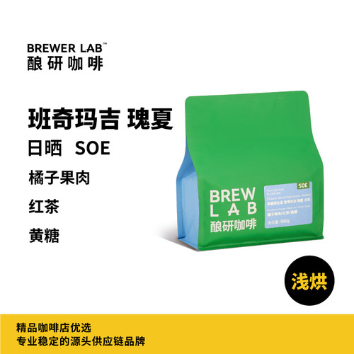 酿研咖啡 埃塞俄比亚班奇玛吉瑰夏SOE水洗精品意式咖啡豆500g