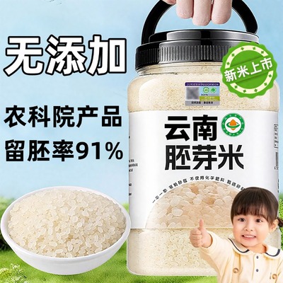 胚芽米官方旗舰店2024年新米有机大米粳米婴幼儿辅食主食五谷杂粮