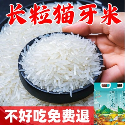 猫牙米1斤装大米2025新米5kg长粒香大米真空生态家用官方旗舰店