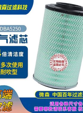2440空气滤芯徐工龙工柳工835 850H855B临工L953F 955N装载机空滤