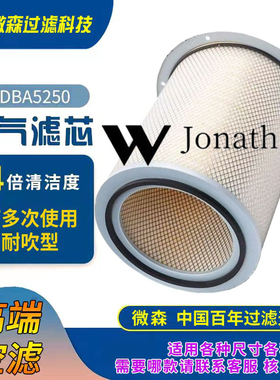 AF872上海弗列加K19空气滤芯AF25278康明斯3018042发电机4095069