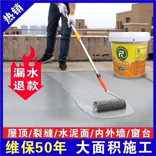 防水涂料外墙防漏水涂料屋顶平房楼顶裂缝防水材料卫生间防水y