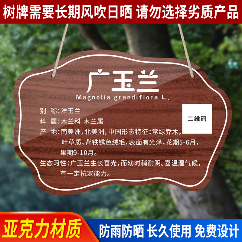 植树不锈钢插地牌子植物信息牌树牌标识牌爱护花草果树吊牌悬挂送绳