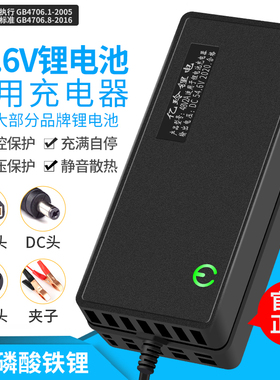 12V锂电池充电器5A4串磷酸充电器铁锂14.6V10A2A户外便携式3A专用