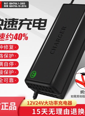 锂电池充电器12V20A房车24V叉车三元磷酸铁锂12.6V14.6V29.4V专用