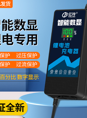 锂电池充电器48V54.6V58.8V5A58.4伏24A电瓶电动车智能专用大功率