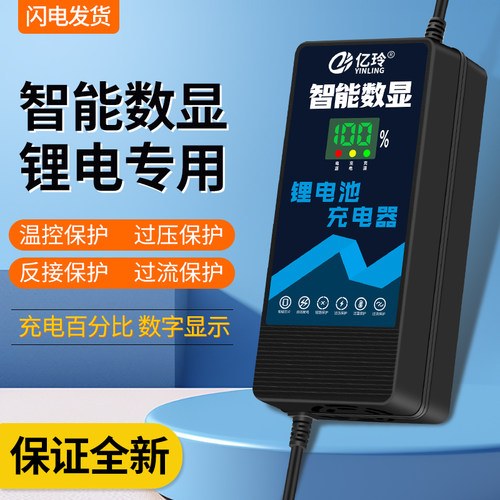 亿玲数显48V锂电池专用充电器