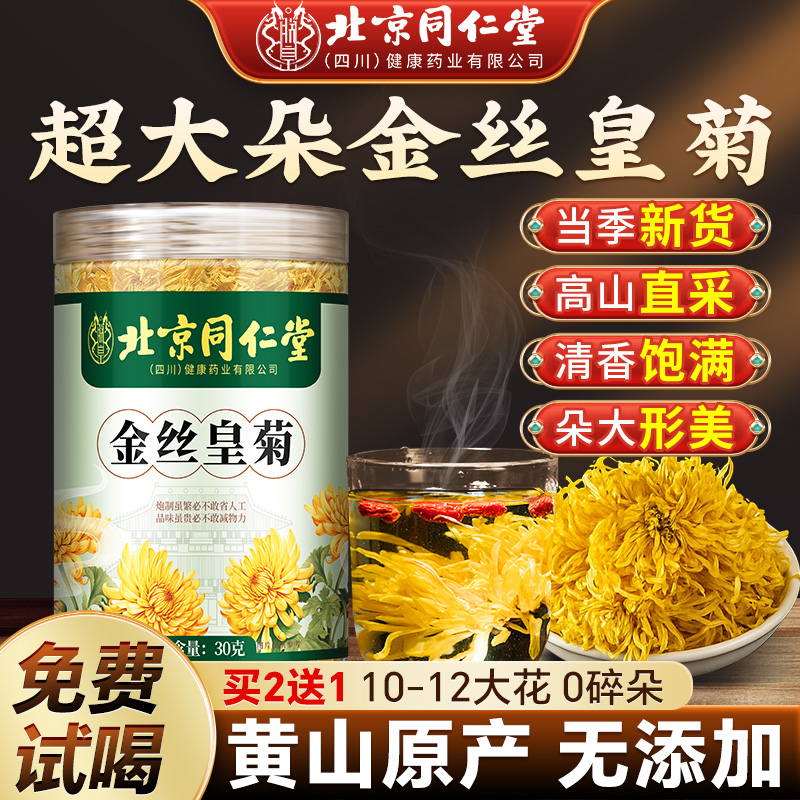 北京同仁堂金丝皇菊特大朵菊花