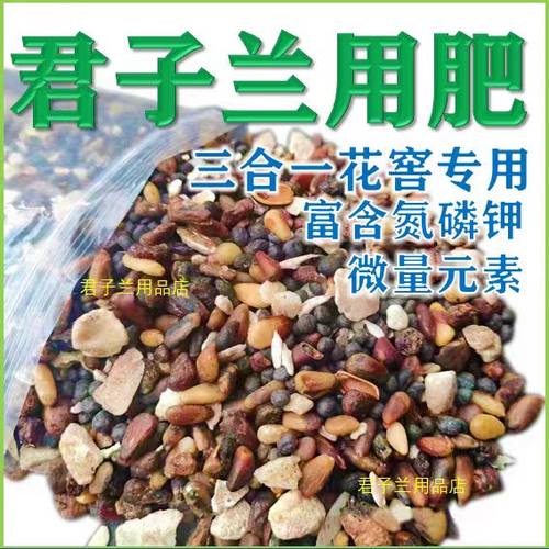 君子兰专用肥腰肥氮磷钾肥炒熟的松仁催花有机肥脱胶牛骨粒兰花用