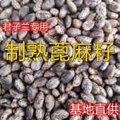 炒熟 蓖麻子肥料君子兰专用肥腰肥氮磷钾肥兰花用肥各种花卉通用