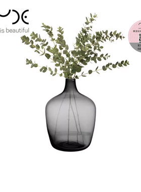 土耳其NUDE进口北欧玻璃花瓶大号客厅落地现代简约透明轻奢插花器