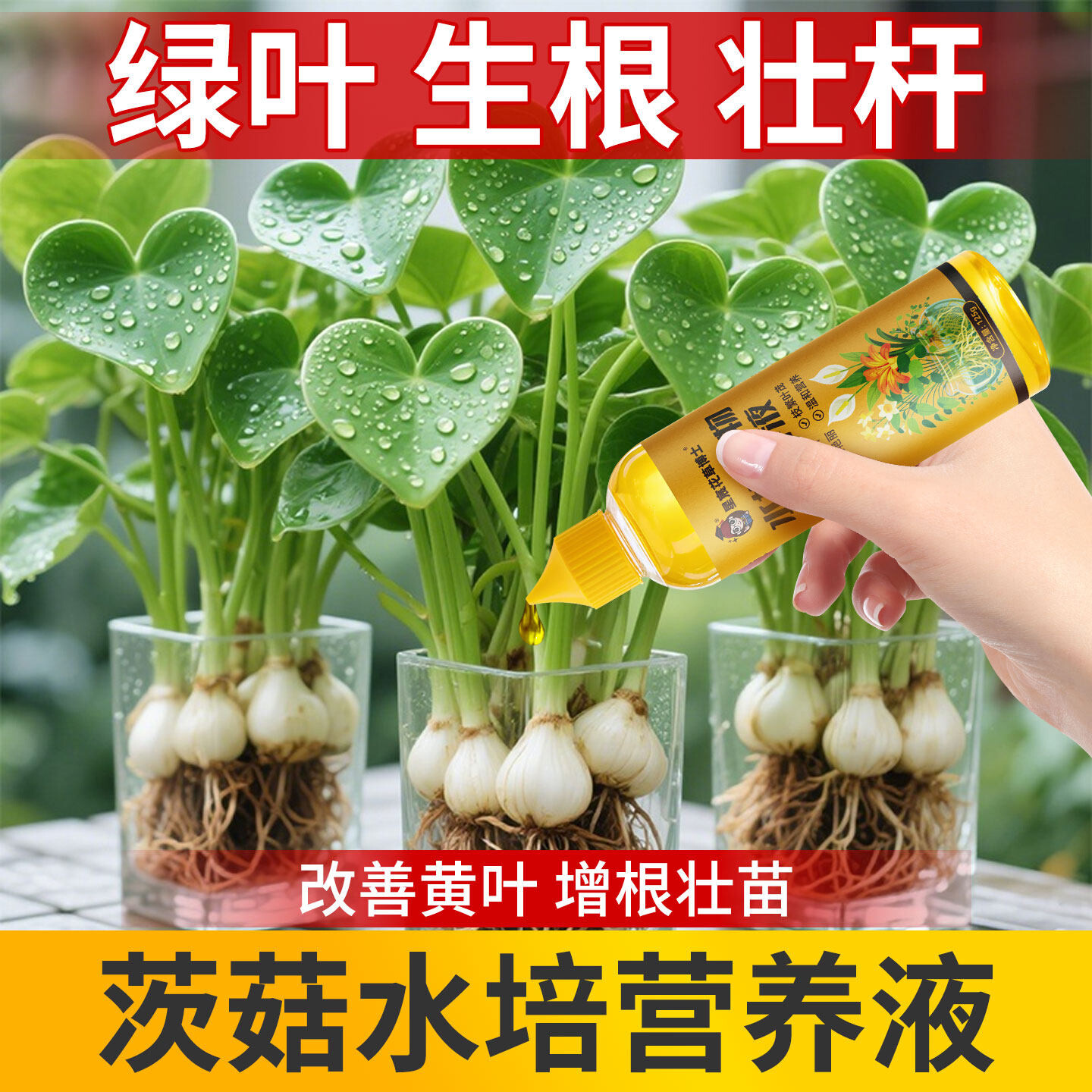 水培茨菇专用营养液慈姑种球家用盆栽花卉植物绿植通用型花肥肥料
