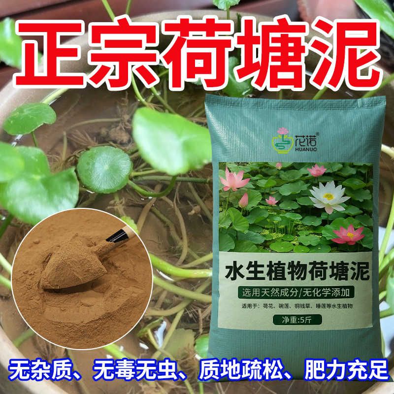 天然荷塘泥碗莲专用土睡莲铜钱草水生植物营养土荷花泥生态养龟缸