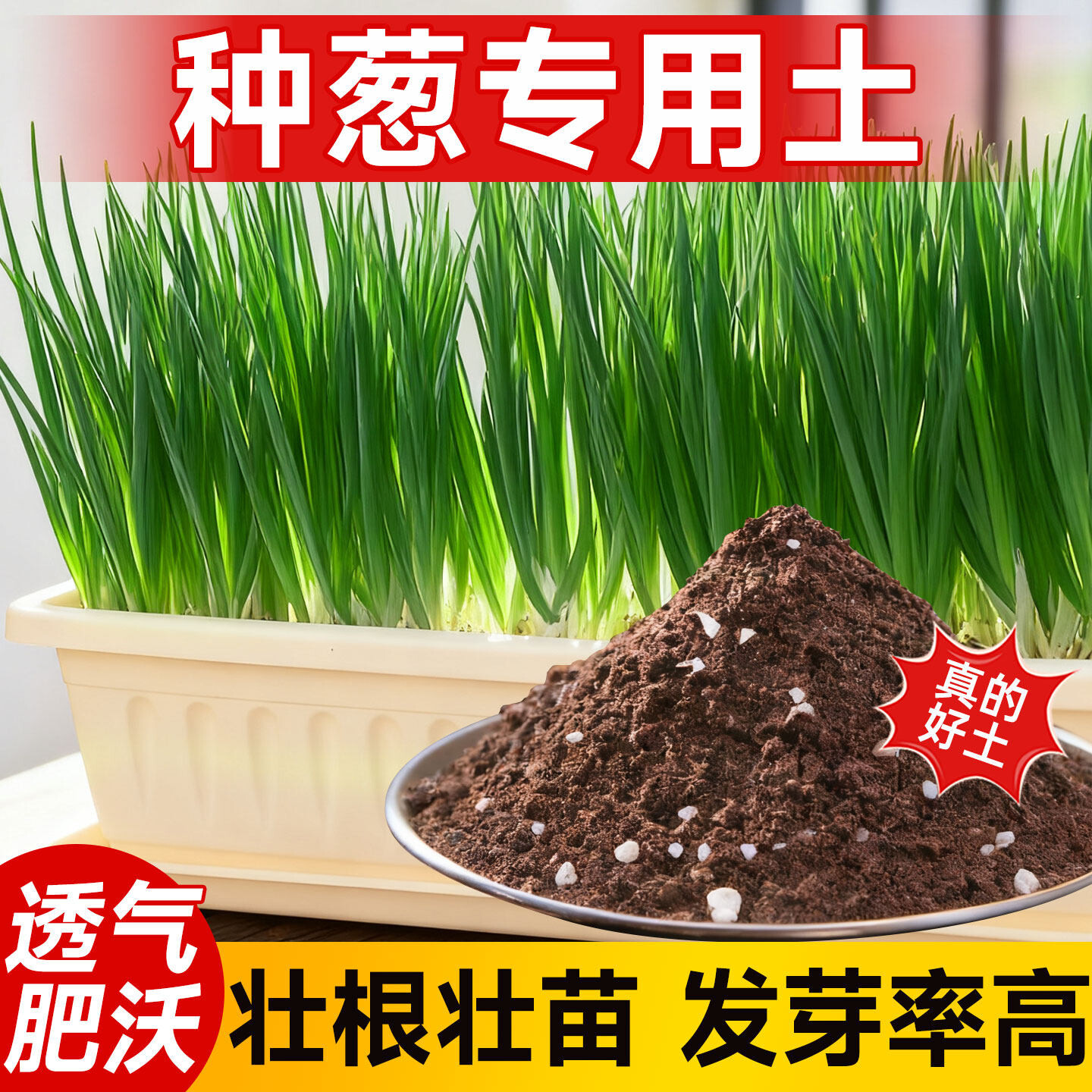 种葱专用土阳台种菜蔬菜营养土香葱苗室内盆栽植物通用有机种植土