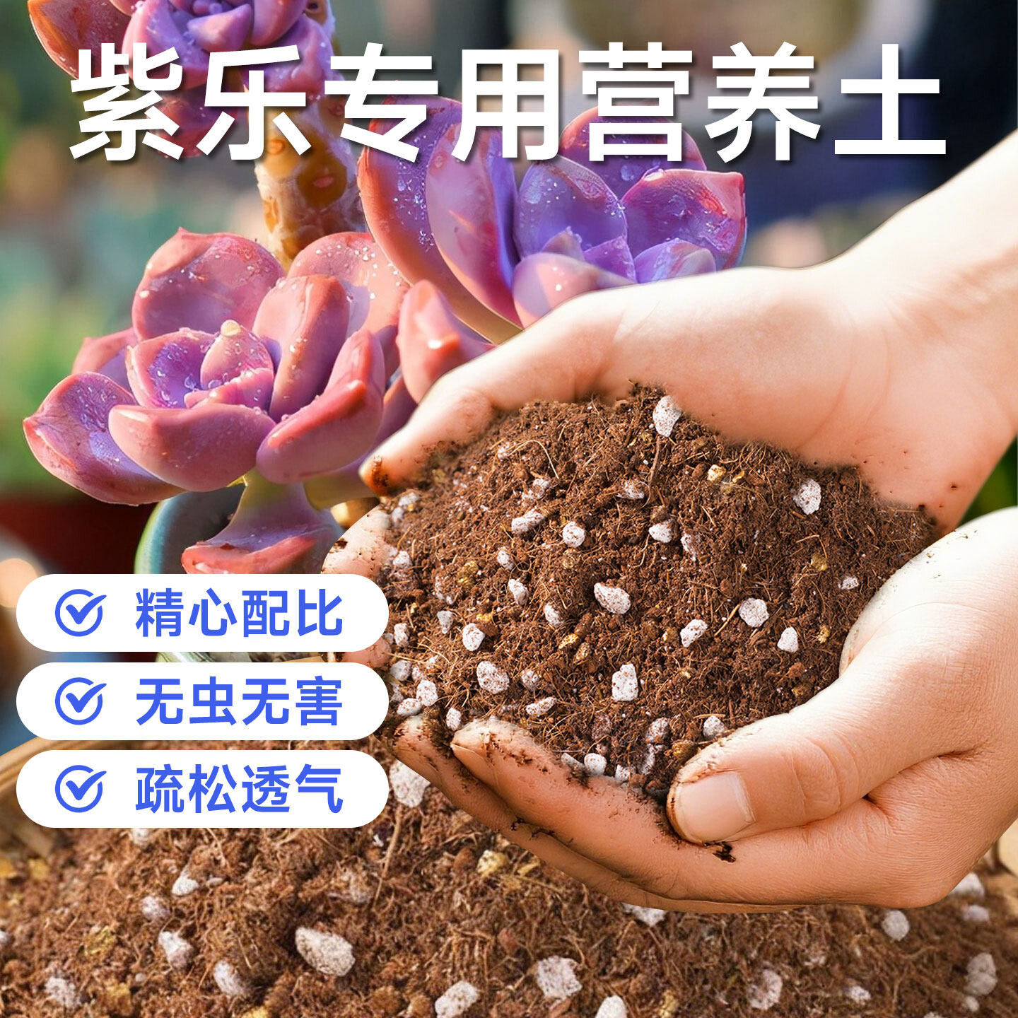 紫乐专用营养土阳台室内种植多肉植物移栽换盆通用透气有机泥炭土
