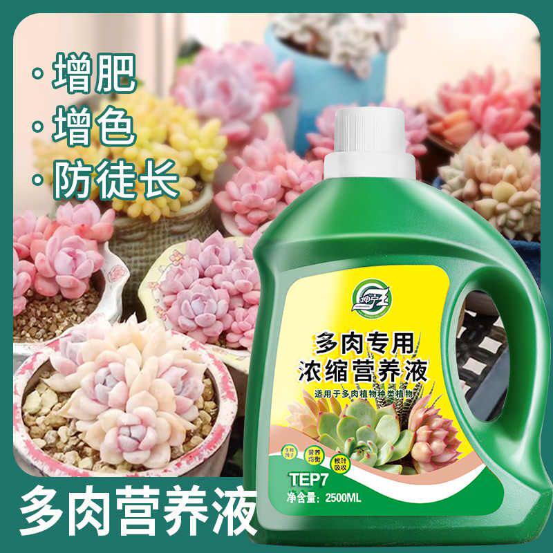 养多肉营养液肥料专用肥营养素肉多多生根肉肉植物花肥增色液体肥