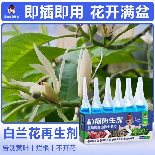 白兰花专用肥料植物再生剂家用盆栽种植营养液防黄叶烂根通用花肥