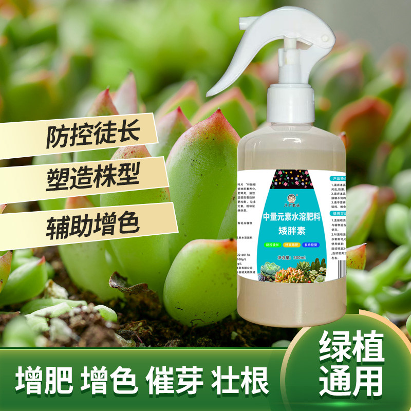 多肉植物矮胖素防徒长造型矮壮根肥增色芽绿植通用中量元素水溶肥