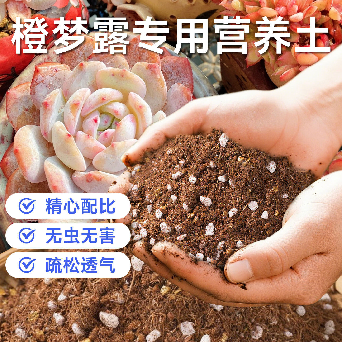 橙梦露专用营养土家用阳台盆栽换盆有机泥炭花土防烂根防板结土壤