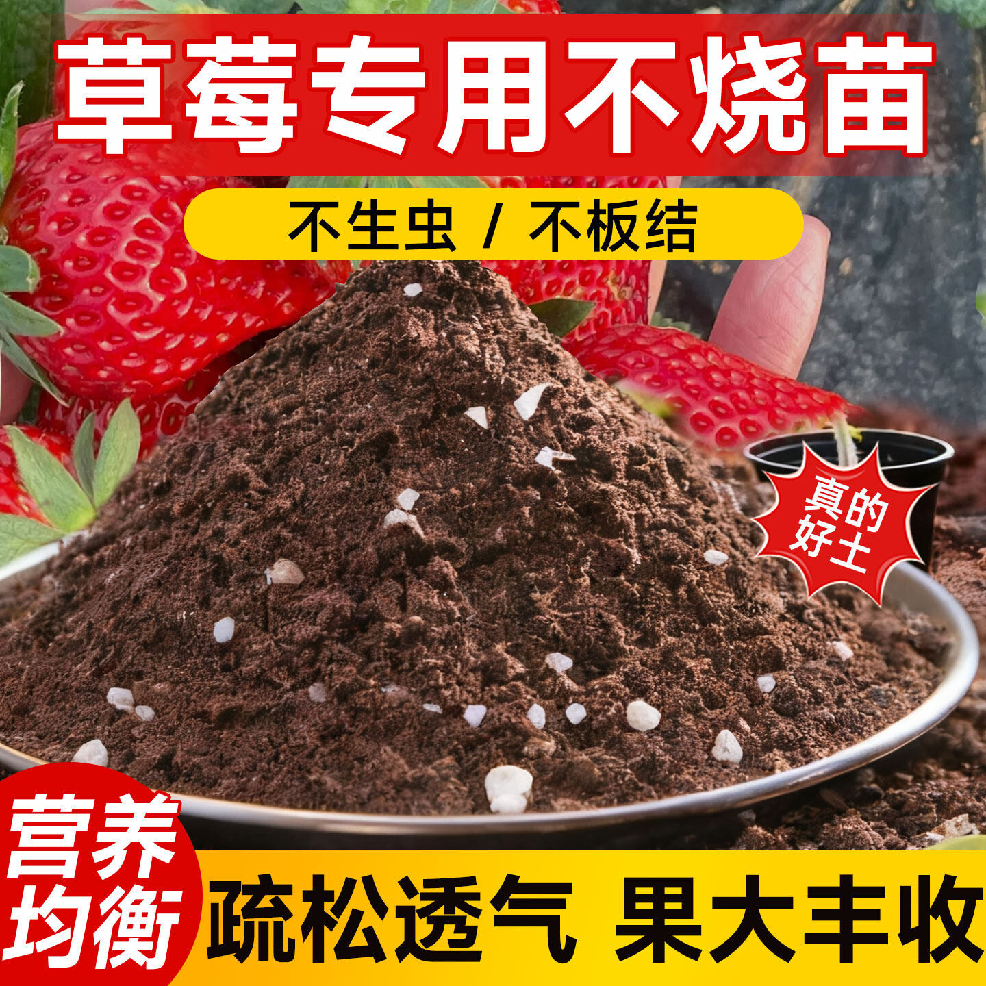 草莓专用营养土蔬菜瓜果专用土通用型土壤种植土透气养花盆栽花泥