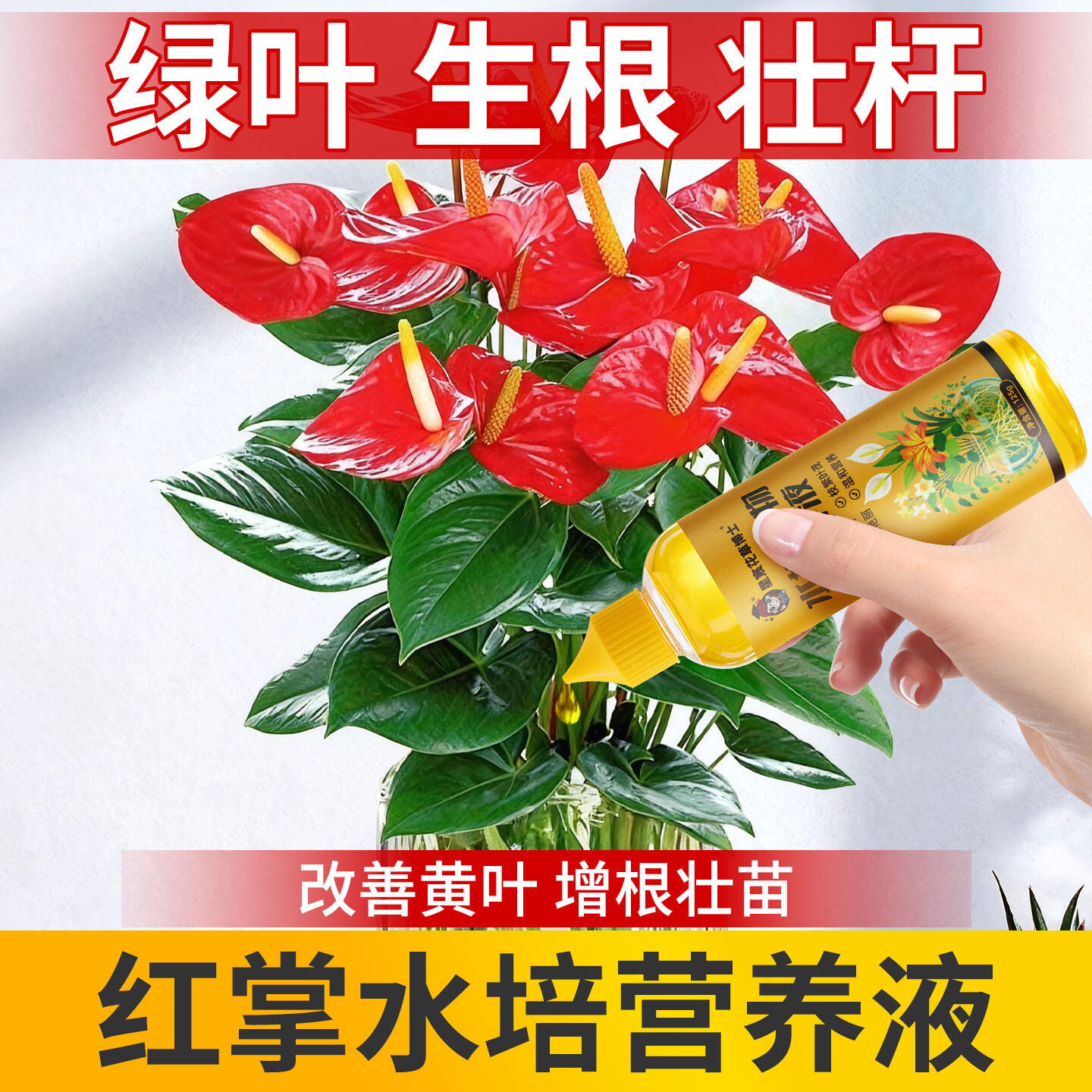 红掌专用营养液正品水培植物花卉专用液粉掌白掌防黄叶促生根花肥
