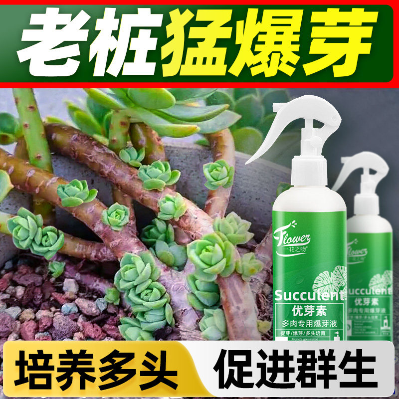 多肉爆芽优芽素促芽花卉盆栽家庭园艺通用增色植物催芽发芽营养液