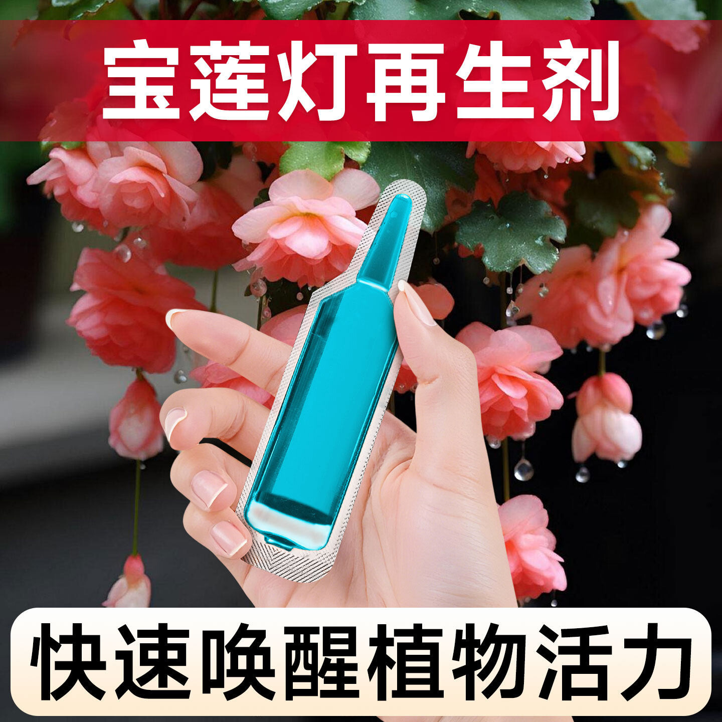 宝莲灯专用植物再生剂浓缩营养液家用室内外盆栽花卉通用开花肥料