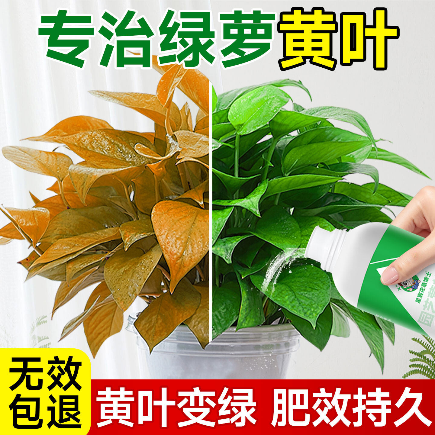 绿萝专用营养液防黄叶肥料大叶水培花盆盆栽植物通用型园艺浓缩肥