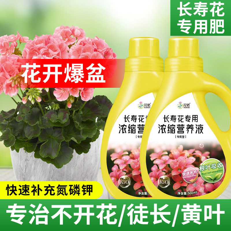 长寿花专用营养液促花肥长寿花专用肥料盆栽花肥催花开花肥专用土