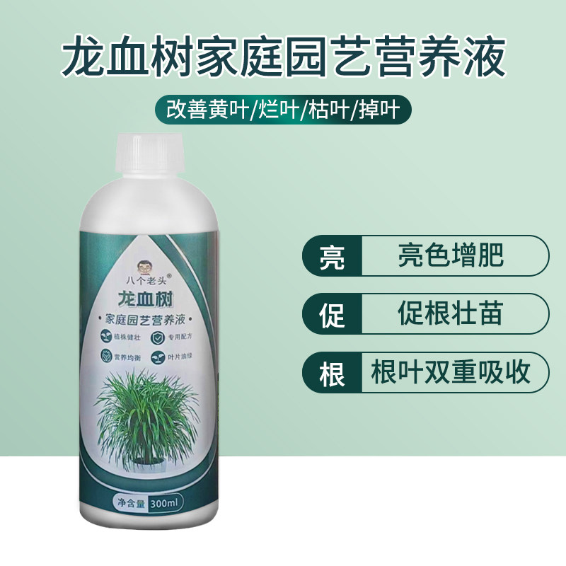 八个老头龙血树龙须树营养液花卉盆栽通用型室内绿植有机肥治黄叶